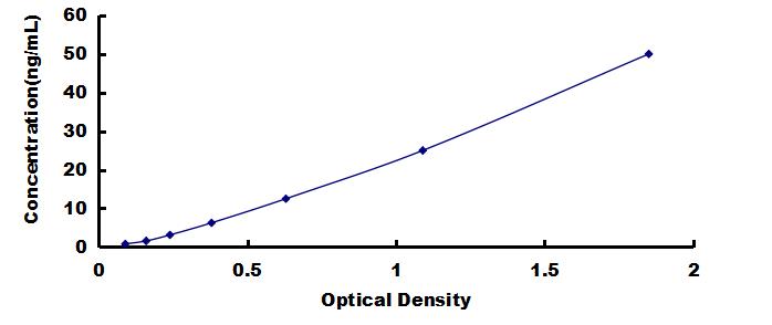 ELISA Kit for Parvalbumin (PVALB)