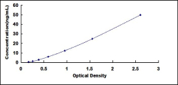 SEL082Ra.jpg