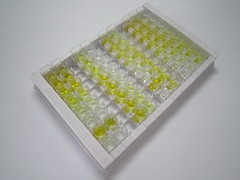 ELISA Kit for Cathelicidin Antimicrobial Peptide (CAMP)