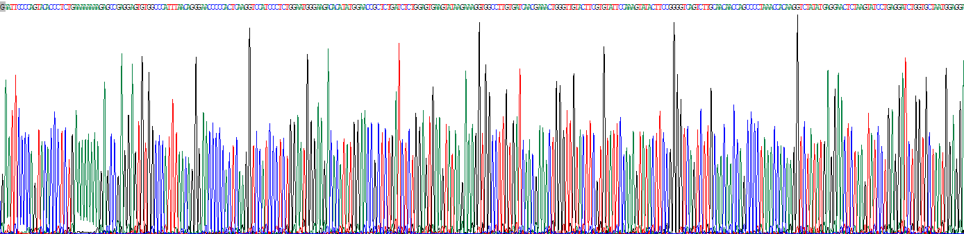Eukaryotic Factor Related Apoptosis Ligand (FASL)
