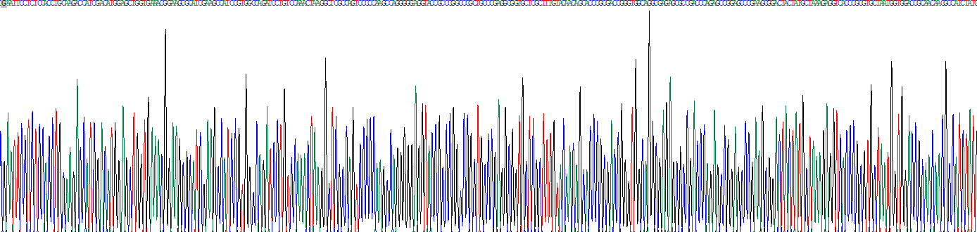 Eukaryotic Transforming Growth Factor Beta 1 (TGFb1)