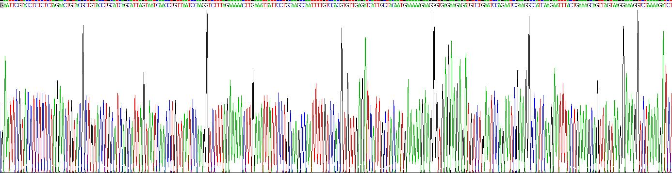 Eukaryotic Interferon Gamma Induced Protein 10kDa (IP10)