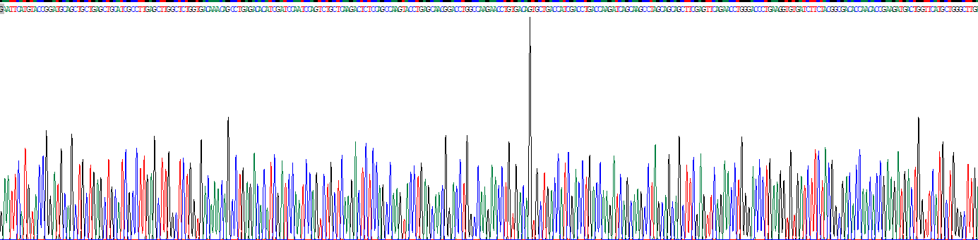 Eukaryotic Sex Hormone Binding Globulin (SHBG)