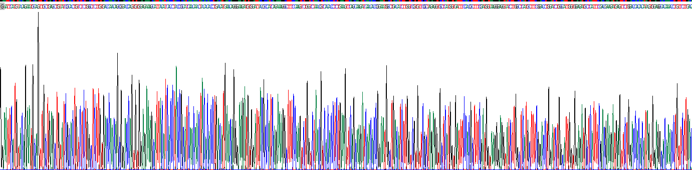 Eukaryotic Matrix Metalloproteinase 12 (MMP12)