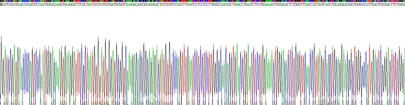 Eukaryotic Apolipoprotein A1 (APOA1)