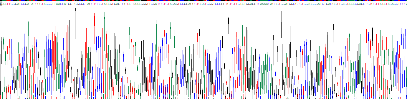 Eukaryotic Metallothionein 3 (MT3)