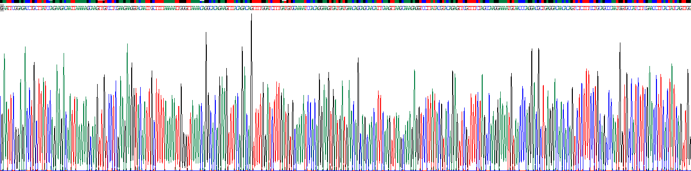Eukaryotic Cluster Of Differentiation 36 (CD36)