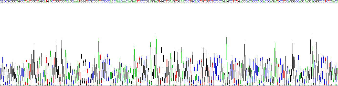 Eukaryotic Interleukin 25 (IL25)