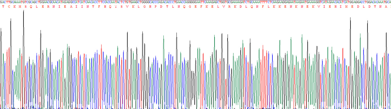 Eukaryotic S100 Calcium Binding Protein A9 (S100A9)
