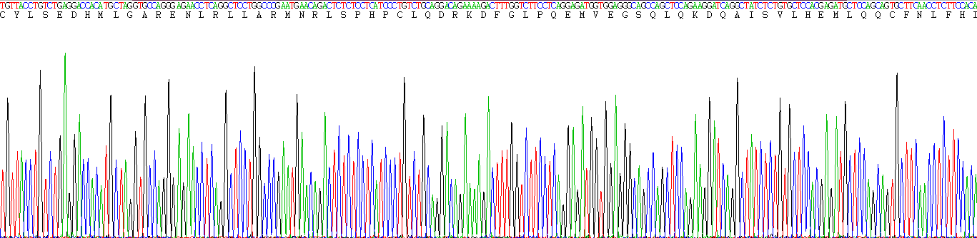 Eukaryotic Interferon Tau (IFNt)