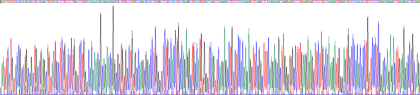 Eukaryotic Interleukin 28B (IL28B)