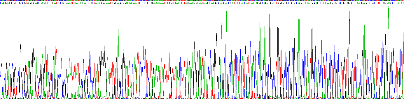 Eukaryotic Interleukin 22 (IL22)