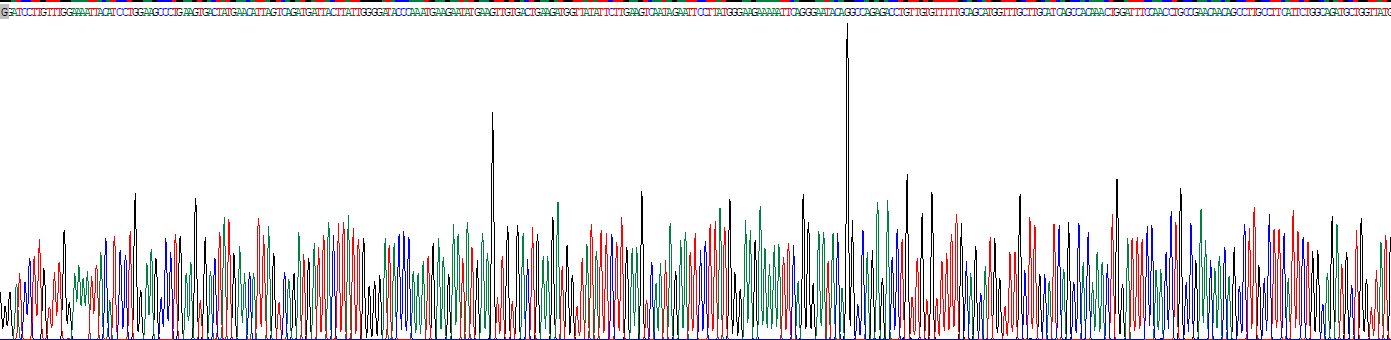 Eukaryotic Lipase, Gastric (LIPF)