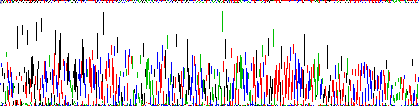 Eukaryotic Phosphodiesterase 5A, cGMP Specific (PDE5A)