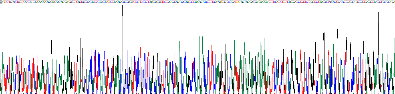 Eukaryotic Sex Determining Region Y Box Protein 9 (SOX9)