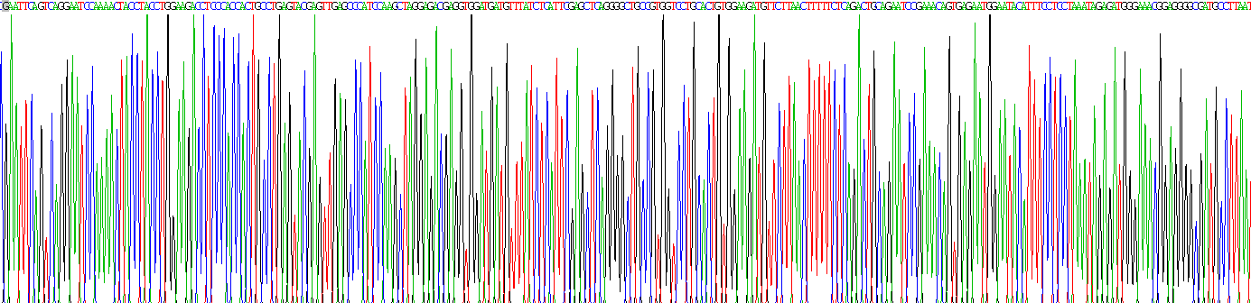 Eukaryotic G-Rich RNA Sequence Binding Factor 1 (GRSF1)