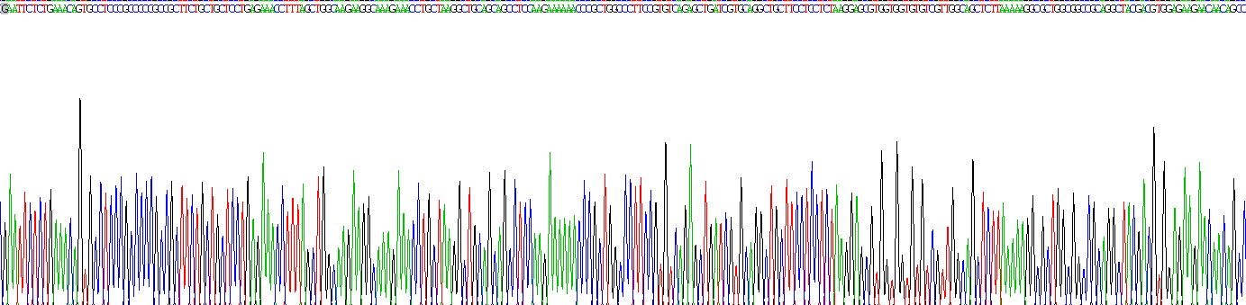 Eukaryotic Histone Cluster 1, H1a (HIST1H1A)