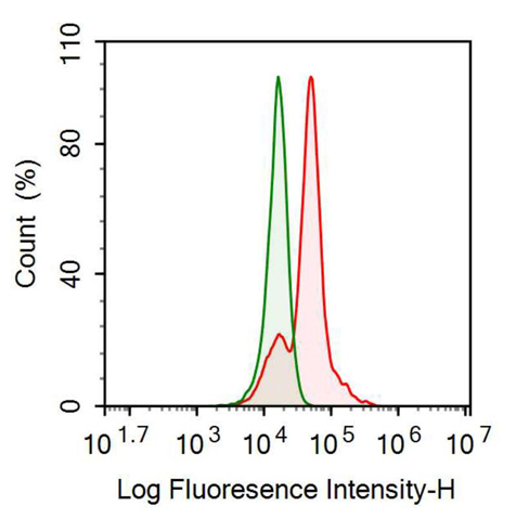Anti-Ciliary Neurotrophic Factor (CNTF) Monoclonal Antibody