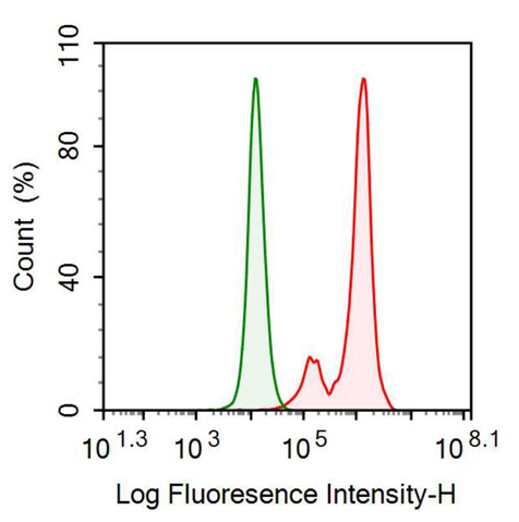 Anti-Ciliary Neurotrophic Factor (CNTF) Monoclonal Antibody
