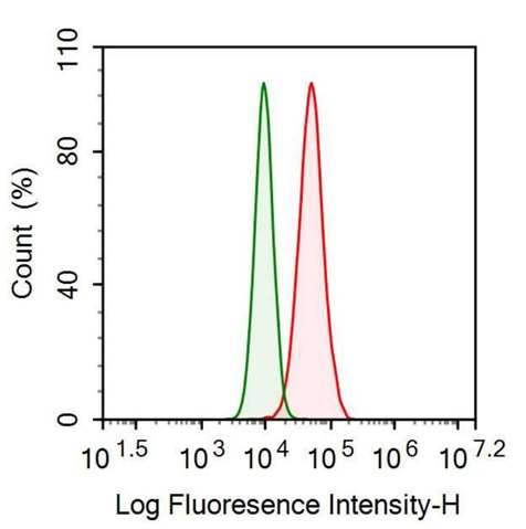 Anti-Interleukin 18 (IL18) Monoclonal Antibody