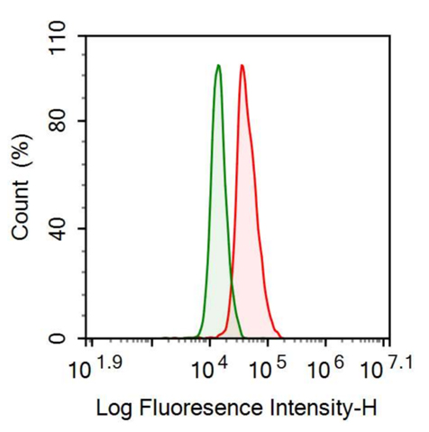 Anti-Leptin (LEP) Monoclonal Antibody