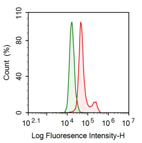 Anti-Leptin (LEP) Monoclonal Antibody