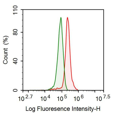 Anti-Leptin (LEP) Monoclonal Antibody