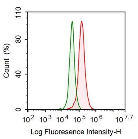 Anti-Leptin (LEP) Monoclonal Antibody
