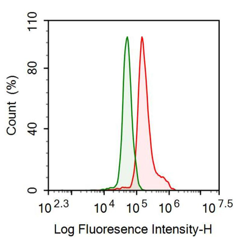 Anti-Leukemia Inhibitory Factor (LIF) Monoclonal Antibody