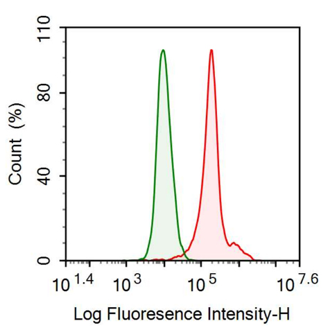 Anti-Nerve Growth Factor (NGF) Monoclonal Antibody
