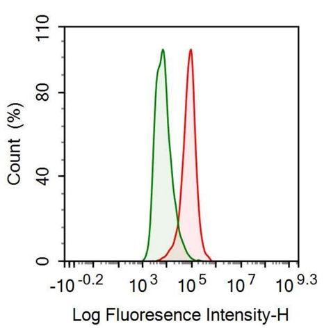 Anti-Tumor Necrosis Factor Alpha (TNFa) Monoclonal Antibody