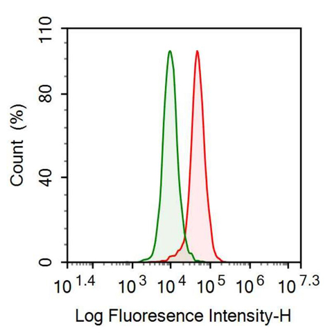 Anti-Prostate Specific Antigen (PSA) Polyclonal Antibody