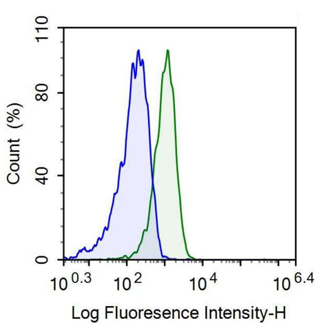 Anti-Galectin 3 (GAL3) Monoclonal Antibody