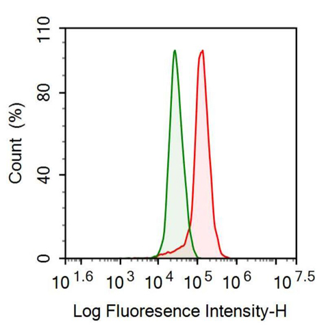 Anti-Apolipoprotein H (APOH) Monoclonal Antibody