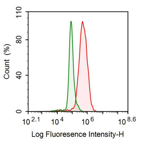Anti-Sp100 Nuclear Antigen (Sp100) Polyclonal Antibody