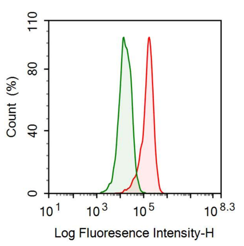 Anti-Complement Component 5a (C5a) Monoclonal Antibody