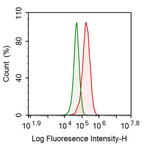 Anti-Tissue Factor Pathway Inhibitor (TFPI) Monoclonal Antibody