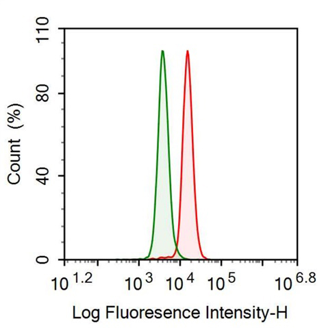 Anti-Neurogranin (NRGN) Monoclonal Antibody