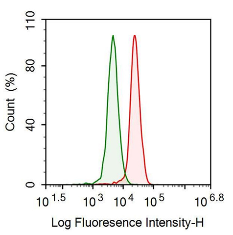 Anti-Elastin Microfibril Interface Located Protein 1 (EMILIN1) Polyclonal Antibody