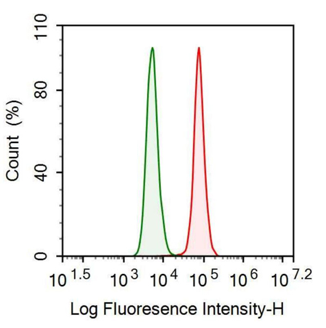 Anti-Insulin (INS) Monoclonal Antibody