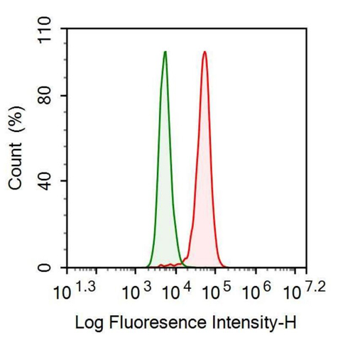 Anti-Insulin (INS) Monoclonal Antibody