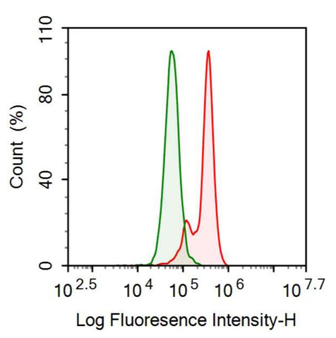 Anti-N-Terminal Pro-Atrial Natriuretic Peptide (NT-ProANP) Polyclonal Antibody