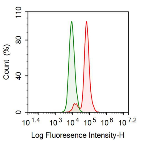 Anti-Interleukin Enhancer Binding Factor 3 (ILF3) Polyclonal Antibody