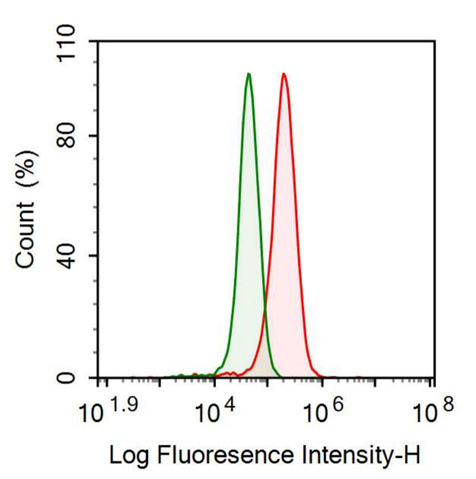 Anti-Apolipoprotein A1 (APOA1) Polyclonal Antibody