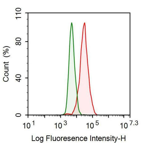 Anti-Tissue Plasminogen Activator (tPA) Monoclonal Antibody