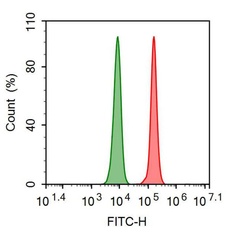 FITC-Linked Anti-Matrix Metalloproteinase 9 (MMP9) Polyclonal Antibody