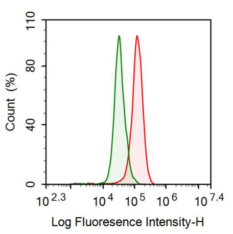Anti-Fatty Acid Binding Protein 2, Intestinal (FABP2) Polyclonal Antibody