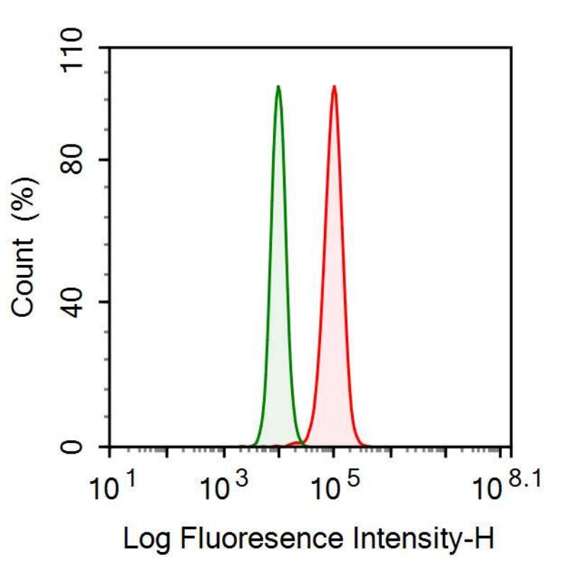 Anti-Complement component 1 Q subcomponent-binding protein, mitochondrial (C1QBP) Polyclonal Antibody