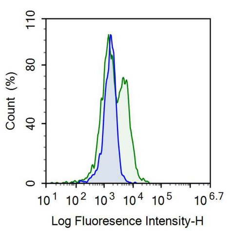 Anti-Cluster Of Differentiation 14 (CD14) Polyclonal Antibody