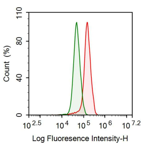 Anti-Heparanase (HPSE) Monoclonal Antibody